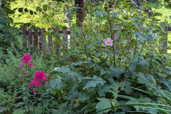 Top1.Garten Top1.Garten