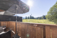 Appartement_Alpenrose_Balkon_Feriendorf_Wallenburg