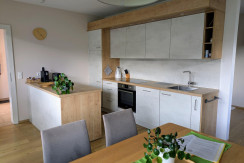 PXL_20250711_145302685~2