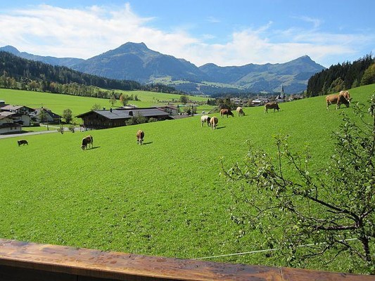 Ausblick vom Balkon