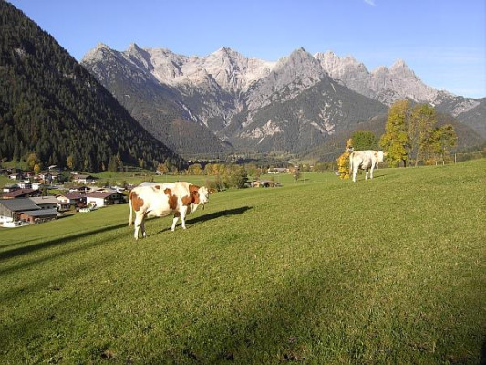 Blick auf die Loferer Steinberge
