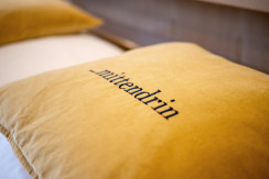 Ferienwohnung Mittendrin Ferienwohnung Mittendrin