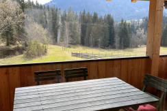 IMG_6155 IMG_6155