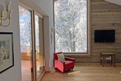 Die große Birke im Winterkleid