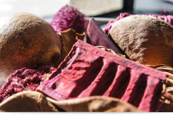 Dekoration Dekoration