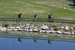 Bike Steinplatte (2) Bike Steinplatte (2)