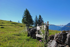 Almlandschaft Almlandschaft