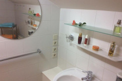 Badezimmer mit Dusche Blick 2