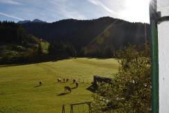 Blick aus der Ferienwohnung
