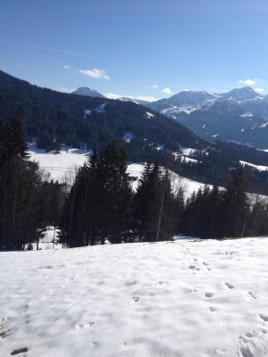 Landschaft