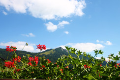 Ausblick auf die Buchensteinwand Ausblick auf die Buchensteinwand