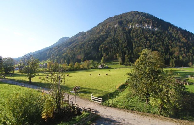 Ausblick vom Haus im Sommer