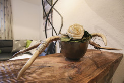 Ferienwohnung Hannes