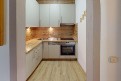 Ferienwohnung-Hinterholzer-Kitchen 3