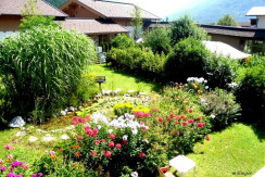 Blick in den Garten Blick in den Garten