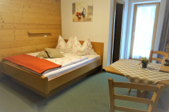 Einzimmerapartment Einzimmerapartment