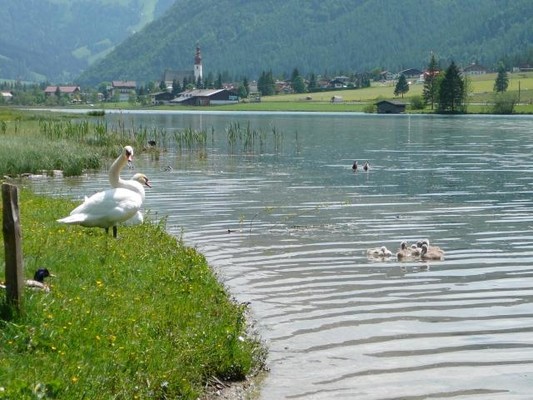 Pillersee