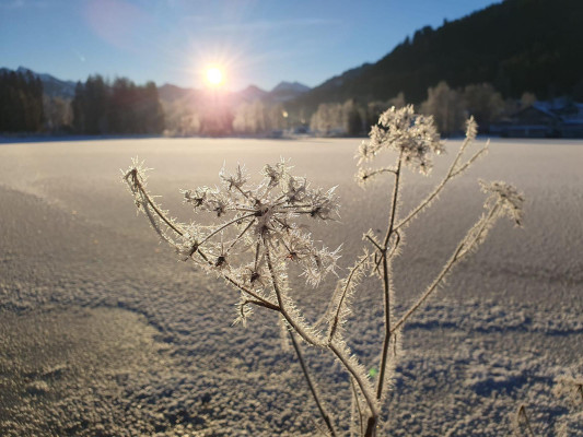 Winterlandschaft
