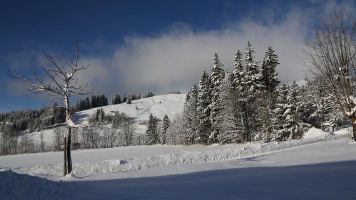 Hochfilzen 2015  06