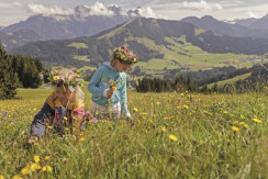 Kinder Sommerurlaub, Tirol Österreich, tvb Kitzbüh