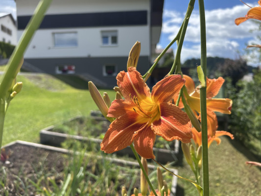 Frana Appartements in Fieberbrunn