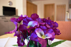 Wohnung 1 Blume Wohnung 1 Blume