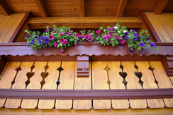 Wohnung 5 Balkon mit Blumenpracht Wohnung 5 Balkon mit Blumenpracht