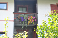 DSC_0006 DSC_0006