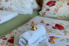IMG_6956 IMG_6956