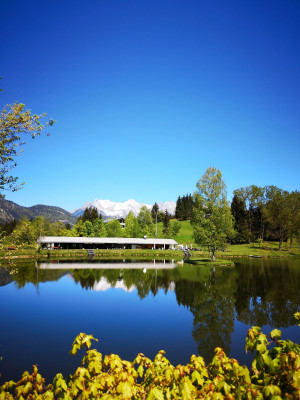 Badesee Lauchsee mit Blick zu den Loferer Steinber