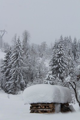 Schnee