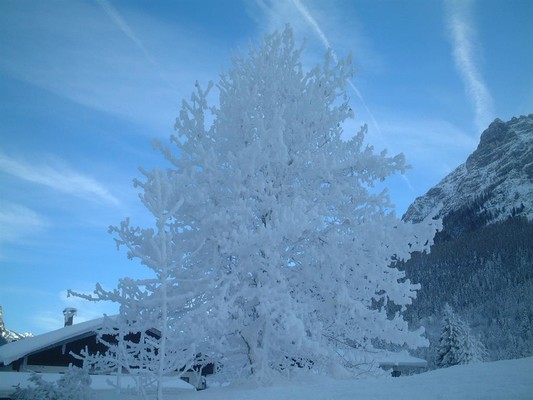 Winterlandschaft