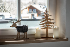 Studio_Hollunderbluete_Koglehen_19_Fieberbrunn_Woh Studio_Hollunderbluete_Koglehen_19_Fieberbrunn_Woh