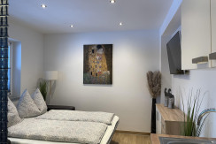 Schlafsofa / Wohnzimmer