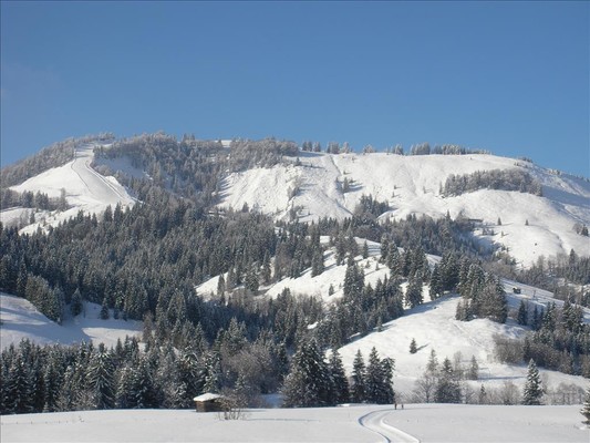 Winterlandschaft