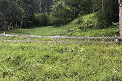 IMG_2835 (1) IMG_2835 (1)