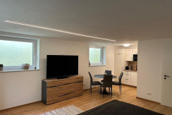 Essbereich Souterrain-Apartment (im Unterg