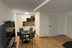 Einladendes Souterrain-Apartment (im Unterg