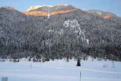 Loipe neben dem Haus Loipe neben dem Haus