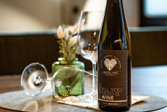 Hauswein JAGGLING APPARTEMENTS Hauswein JAGGLING APPARTEMENTS