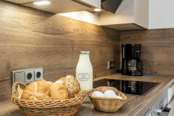 bauernhof-stjacobinhaus-ferienwohnung-4212