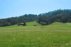 Buchensteinwand Ausblick