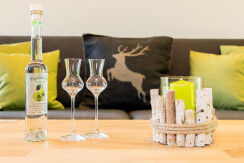 ferienwohnung-fieberbrunn-urlaub-bauernhof-8331