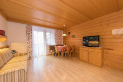 Wohnraum Küche Mitterhorn