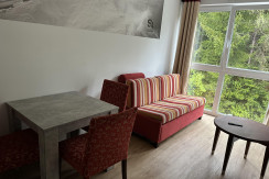 image00007 image00007