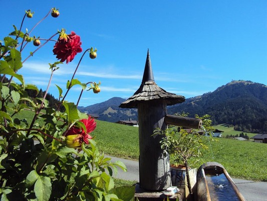 Hausbrunnen mit Buchensteinwand im Hintergrund
