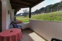 ferienwohnung-fieberbrunn-1-11