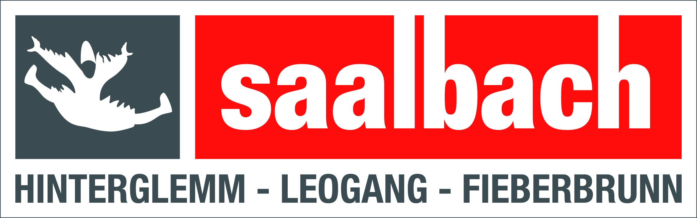 saalbach_main_logo.jpg